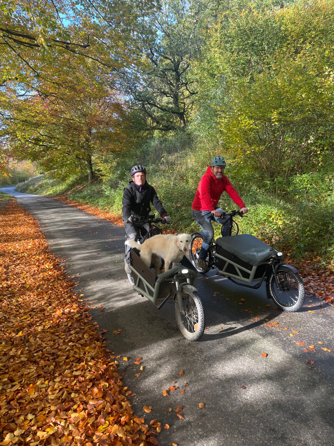 Dan riding a Riese & Muller Load cargo bike with a dog in the front box