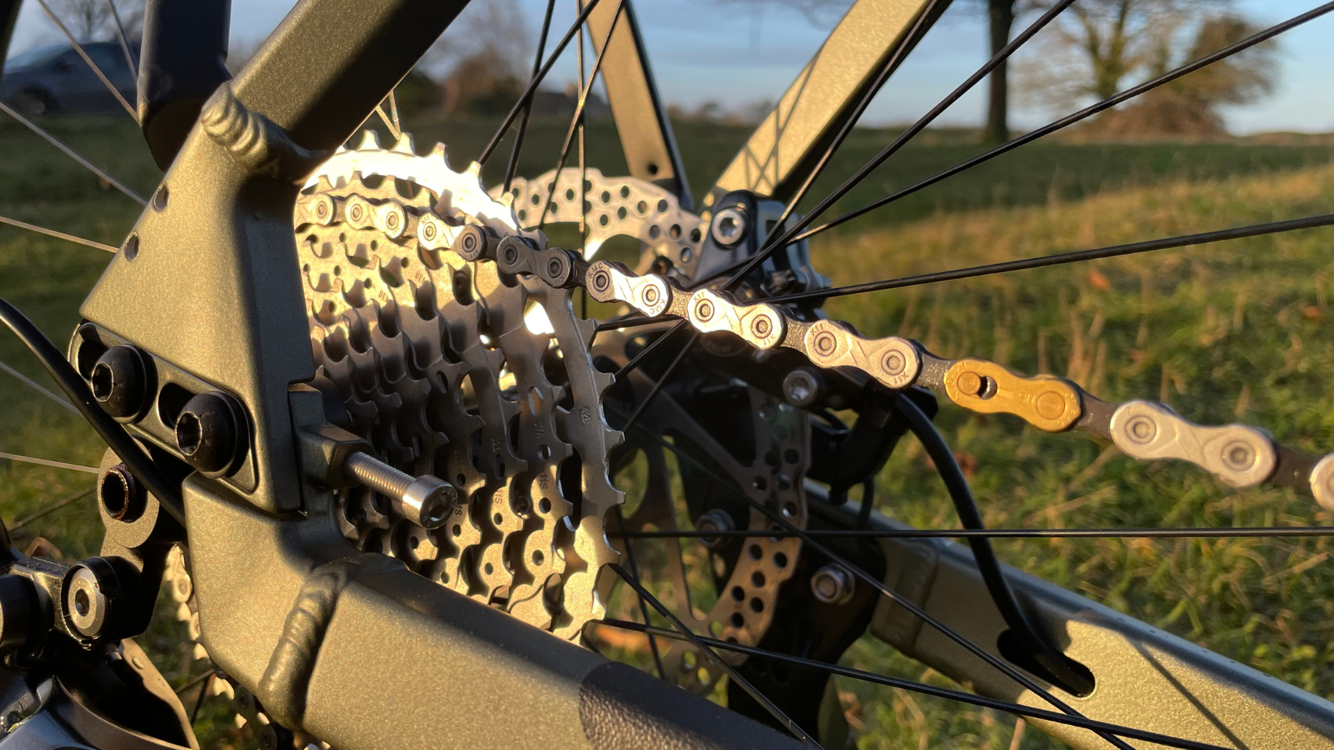 Shimano cassette and chain on the UBN Five, a classic derailleur setup in golden-hour light